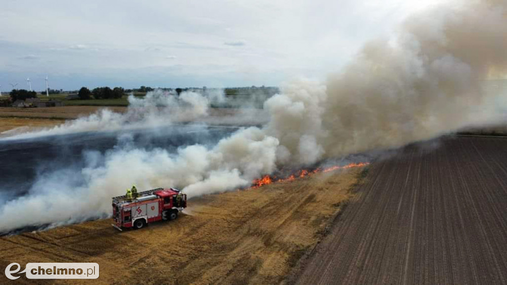 Paliło się w Grzybnie. Zobaczcie zdjęcia