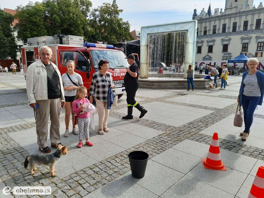 Letnia Akcja Bezpieczne i Ekologiczne Wakacje