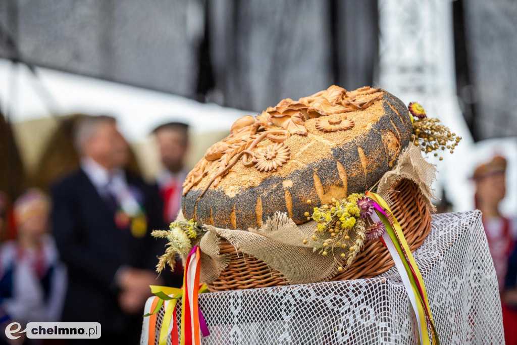 Dożynki wojewódzkie 2021 (dużo zdjęć)