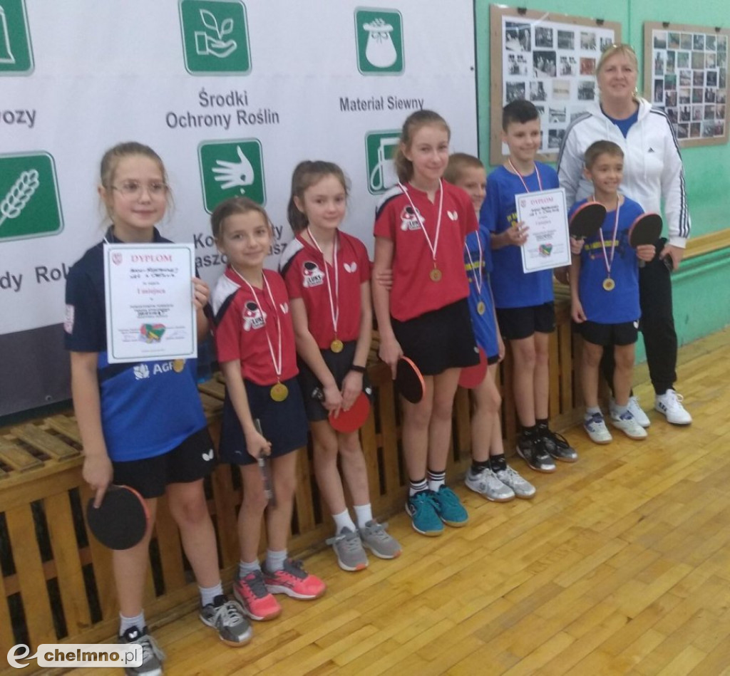 Powiatowe zawody tenisa stołowego