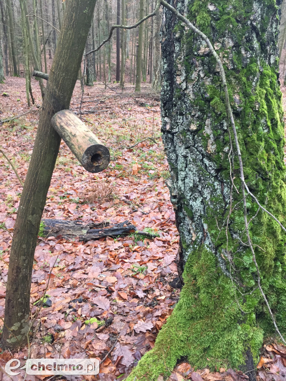 Ekologia na co dzień i w pięknym miejscu!