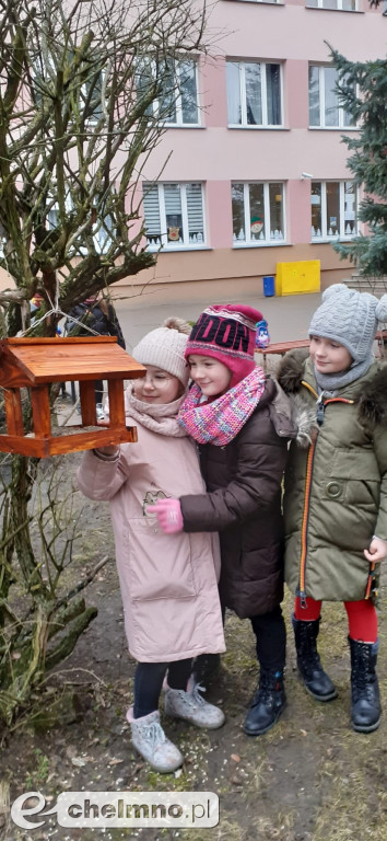 Uczniowie z Czwórki pomagają ptakom
