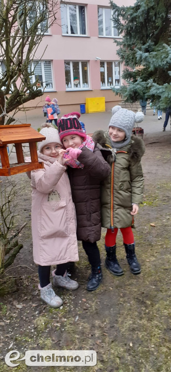 Uczniowie z Czwórki pomagają ptakom