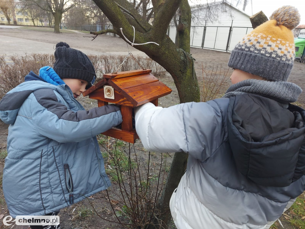 Uczniowie z Czwórki pomagają ptakom