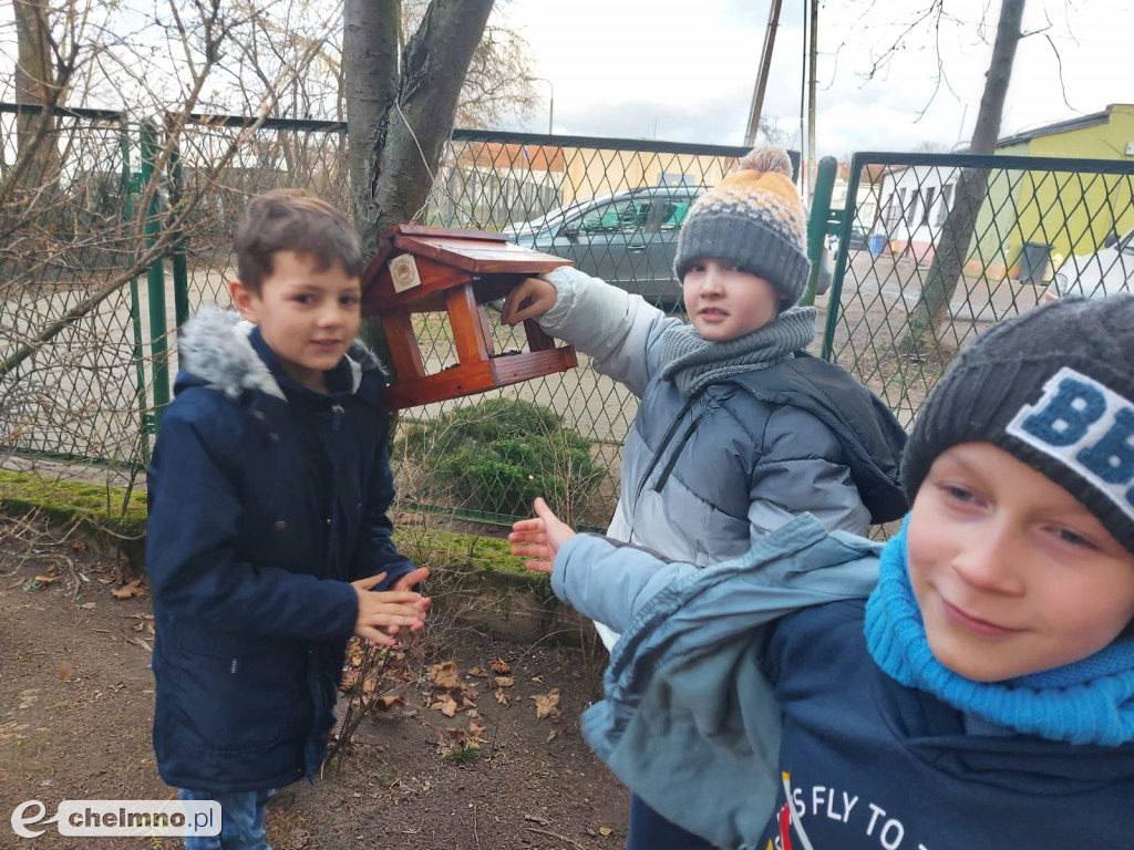 Uczniowie z Czwórki pomagają ptakom