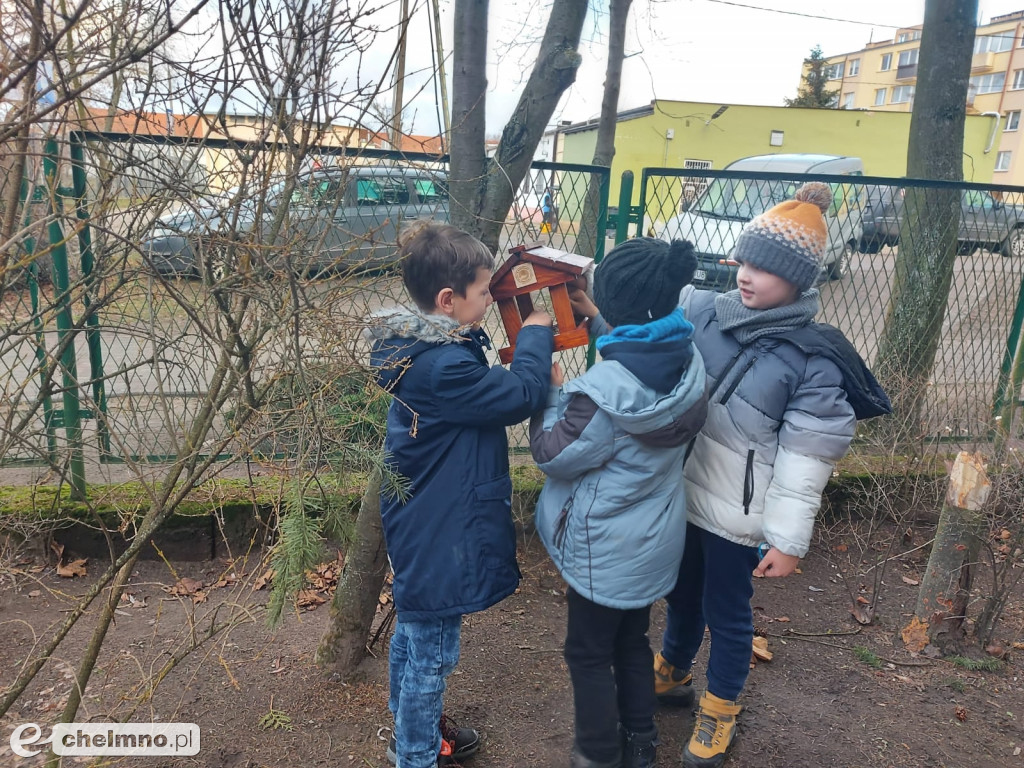 Uczniowie z Czwórki pomagają ptakom