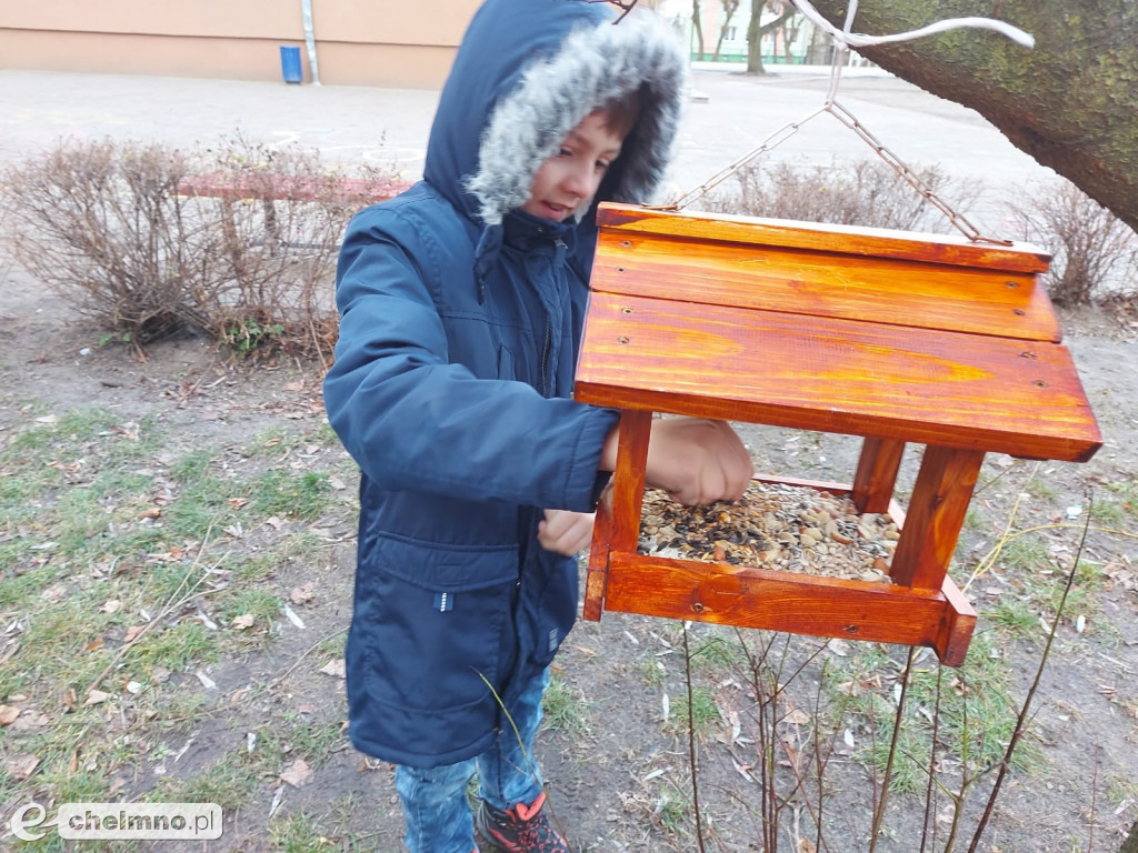 Uczniowie z Czwórki pomagają ptakom