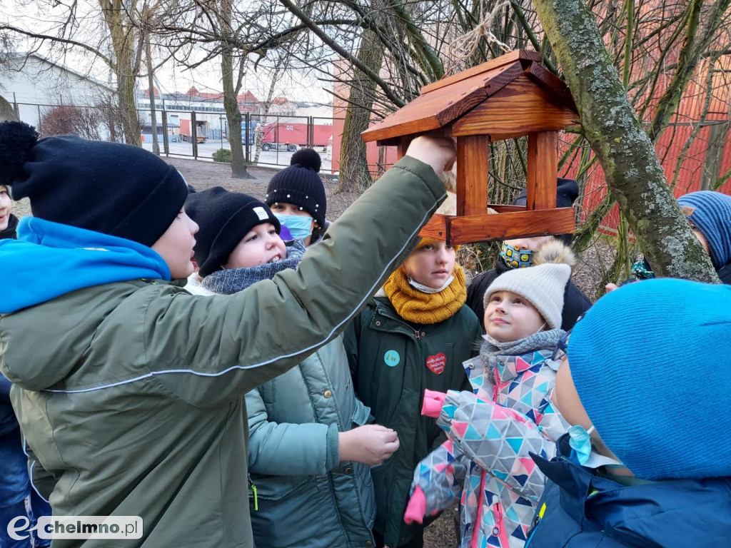 Uczniowie z Czwórki pomagają ptakom