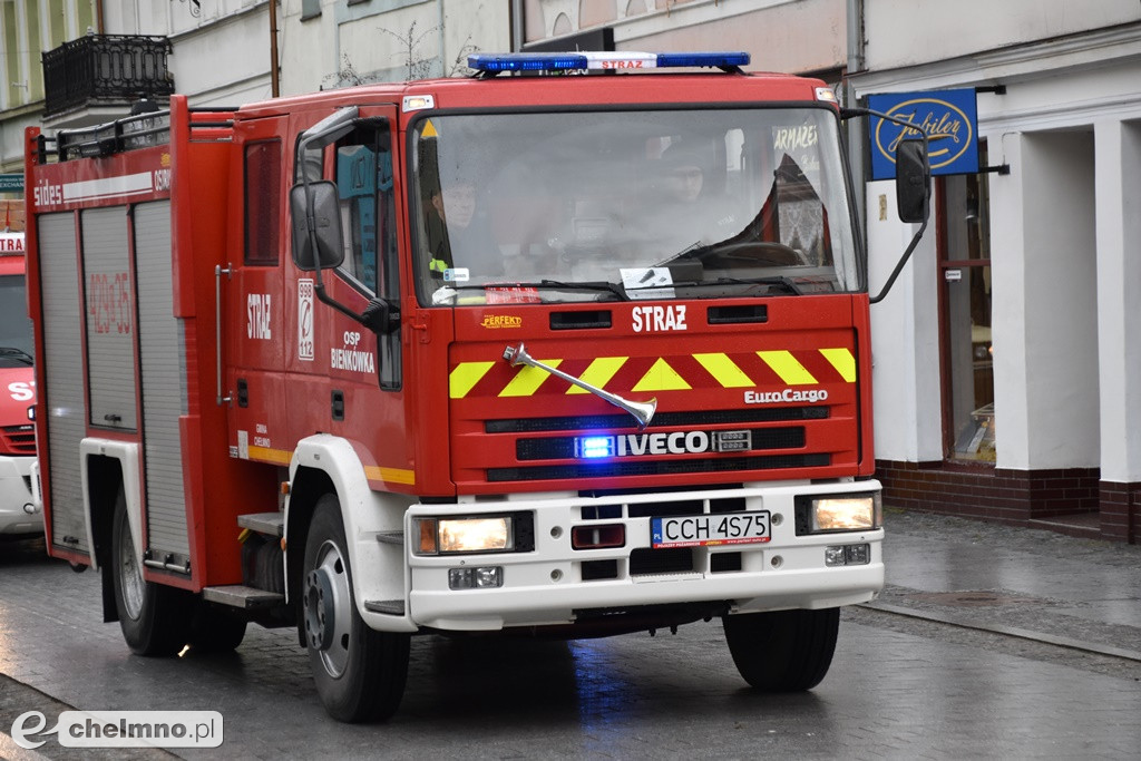 Tak było na paradzie aut i uczestników WOŚP