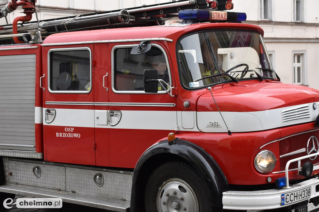 Tak było na paradzie aut i uczestników WOŚP