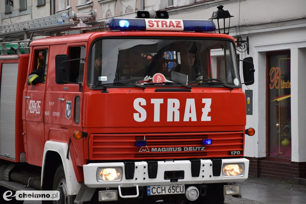 Tak było na paradzie aut i uczestników WOŚP