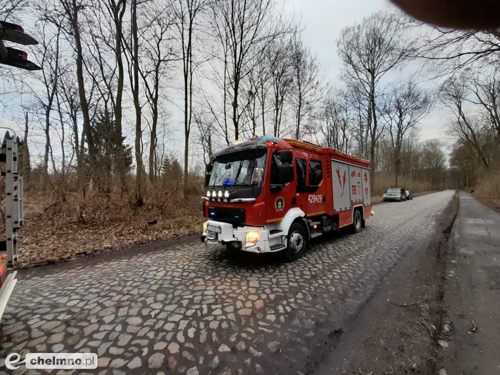Powalone drzewa w Chełmnie