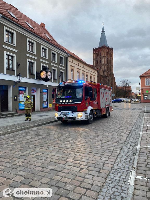 Powalone drzewa w Chełmnie