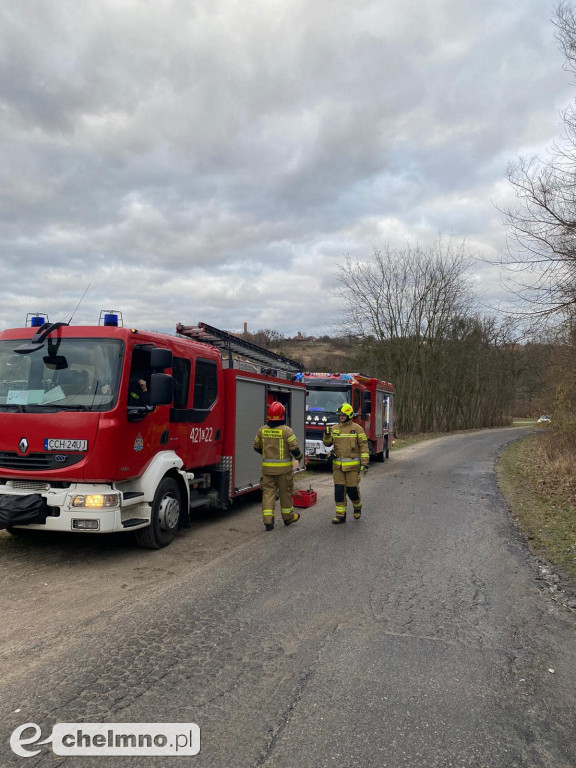 Powalone drzewa w Chełmnie