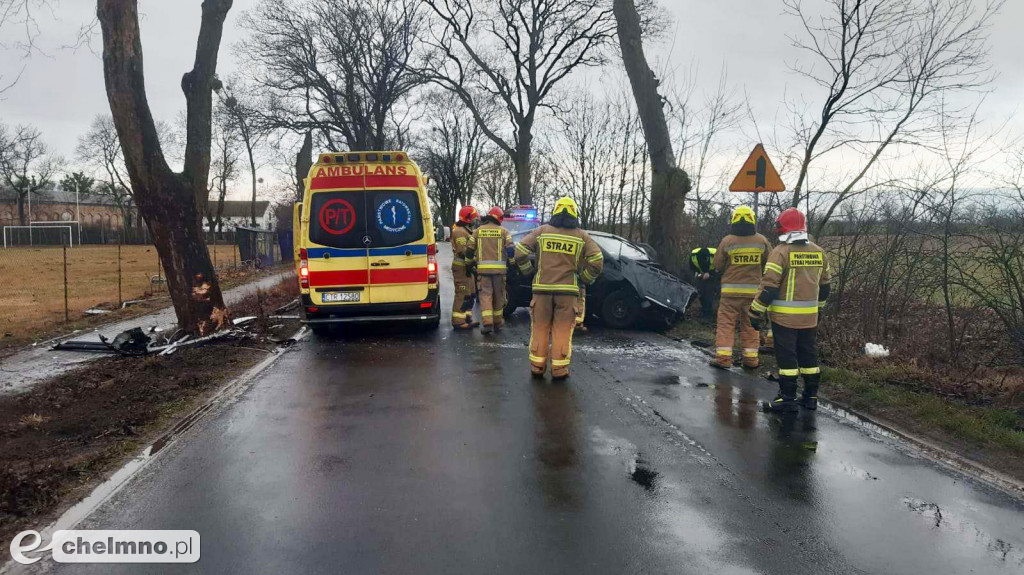 Uderzył w drzewo w Stablewicach. 30-latek trafił do szpitala