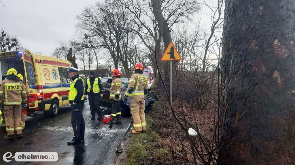 Uderzył w drzewo w Stablewicach. 30-latek trafił do szpitala