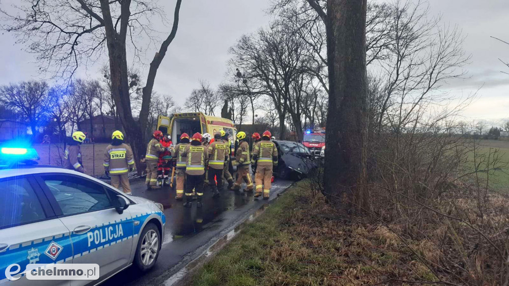 Uderzył w drzewo w Stablewicach. 30-latek trafił do szpitala