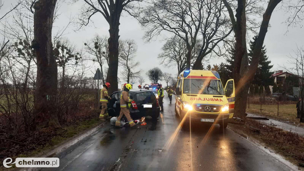 Uderzył w drzewo w Stablewicach. 30-latek trafił do szpitala
