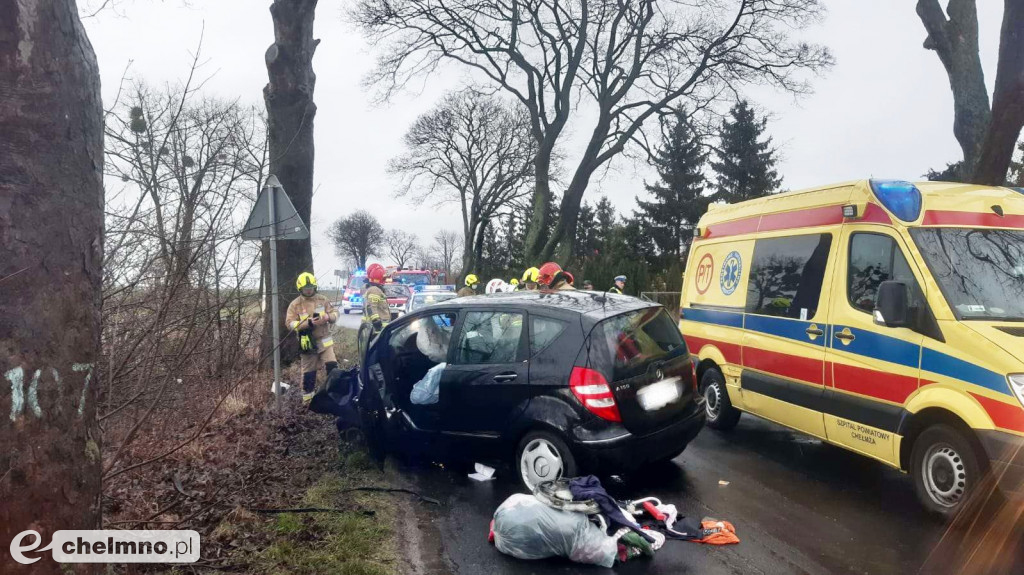 Uderzył w drzewo w Stablewicach. 30-latek trafił do szpitala