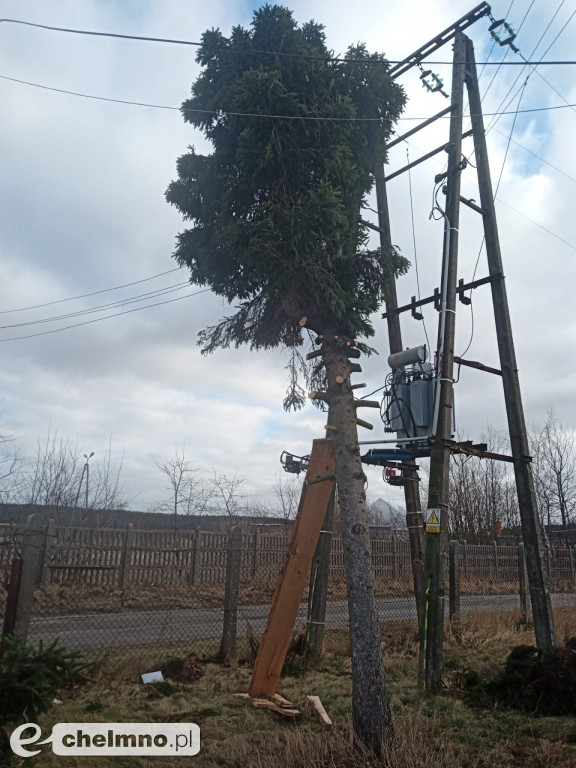 Zerwane dachy i powalone drzewa w okolicach