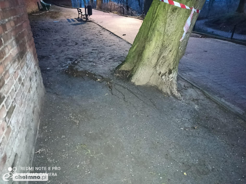 Wichura szalała w powiecie chełmińskim