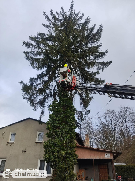 Wichura szalała w powiecie chełmińskim