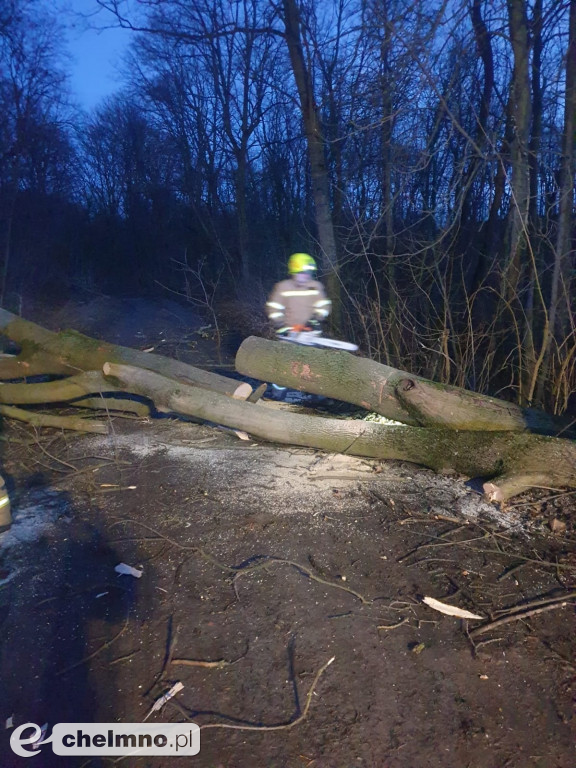 Druhowie z Unisławia podsumowali wczorajsze działania