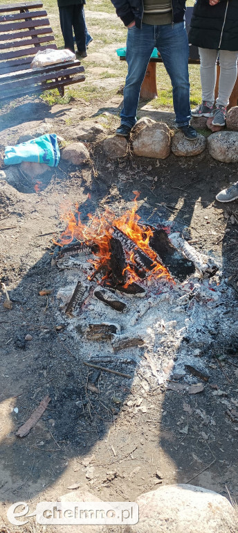 Chełmińskie morsy i foczki solidarni z Ukrainą