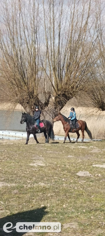 Chełmińskie morsy i foczki solidarni z Ukrainą
