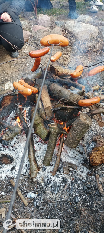 Chełmińskie morsy i foczki solidarni z Ukrainą