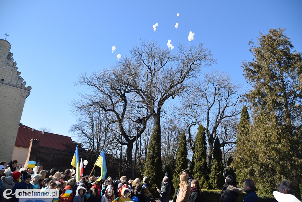 Tłumy uczestników na Marszu Pokoju w Chełmnie