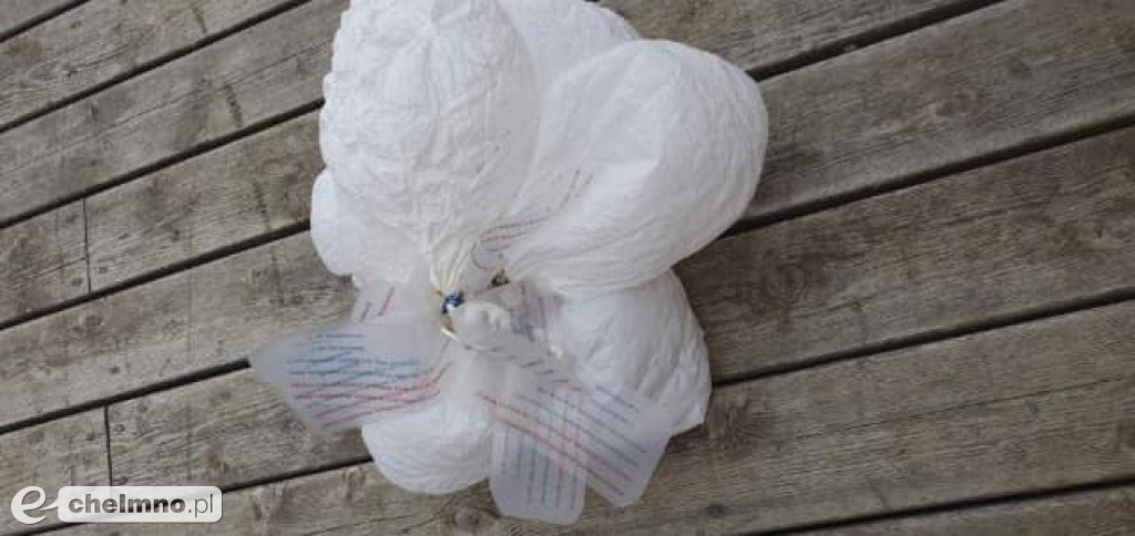 SZOK! Chełmińskie balony pokoju doleciały aż do Norwegii