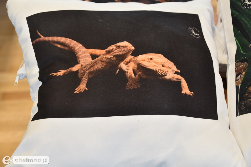 Relacja z Targów Terrarystycznych ExoAnimal
