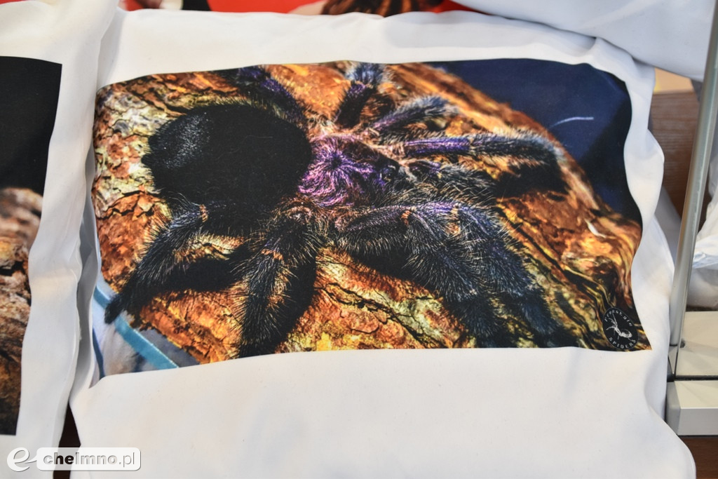Relacja z Targów Terrarystycznych ExoAnimal