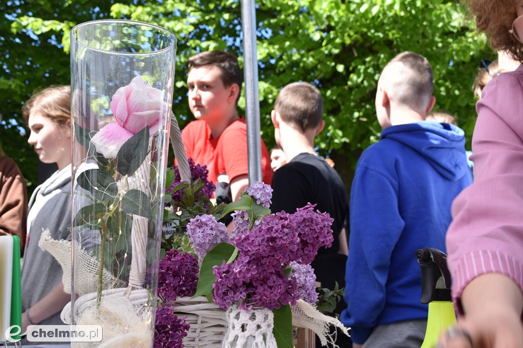 Ciekawa oferta dla uczniów klas VIII - piknik edukacyjny