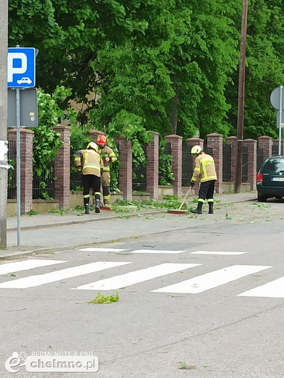 Wyjazdy alarmowe z powodu silnego wiatru w okolicy