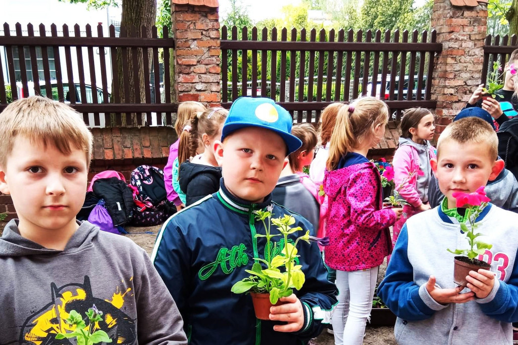 Ukwiecona Szkoła Podstawowa nr 1 w Chełmnie