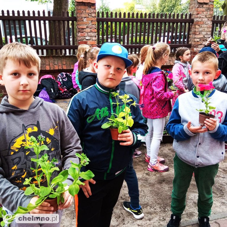 Ukwiecona Szkoła Podstawowa nr 1 w Chełmnie