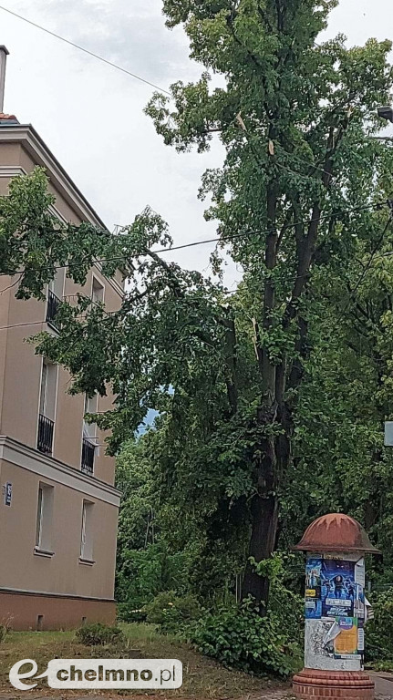 Powalone drzewa i przygniecione samochody
