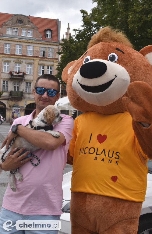 Piknik Rodzinny z Nicolaus Bankiem w Chełmnie