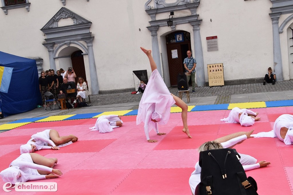 Popis członków klubu sportowego 