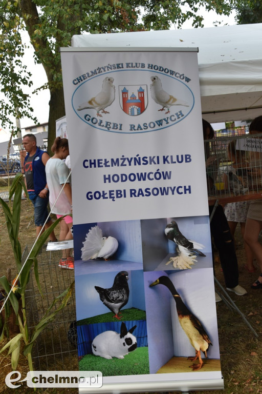 Dobra zabawa na Dożynkach Gminno-Parafialnych w Unisławiu