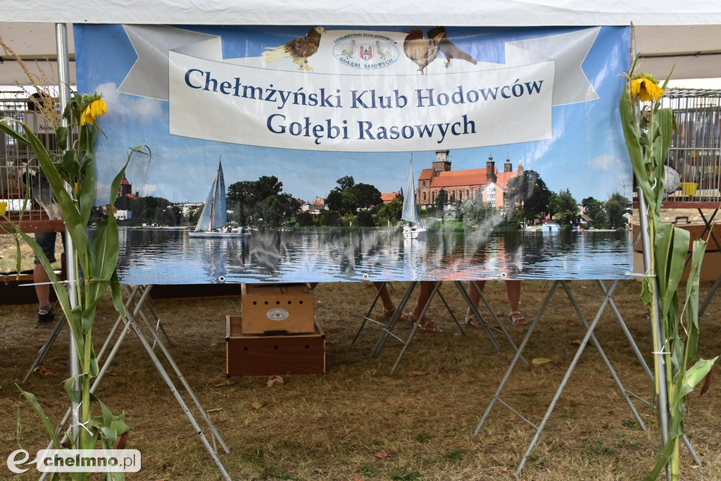 Dobra zabawa na Dożynkach Gminno-Parafialnych w Unisławiu