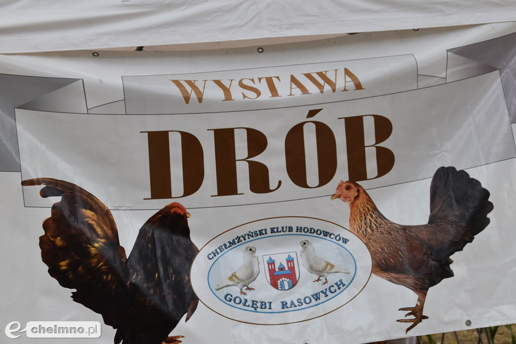 Dobra zabawa na Dożynkach Gminno-Parafialnych w Unisławiu