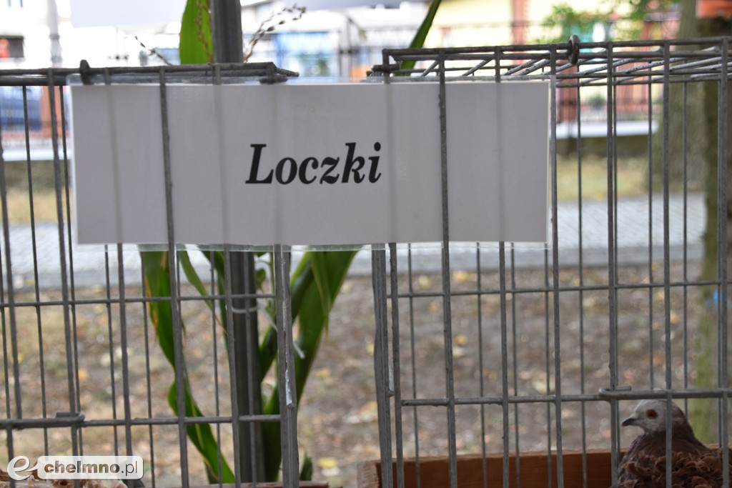 Dobra zabawa na Dożynkach Gminno-Parafialnych w Unisławiu