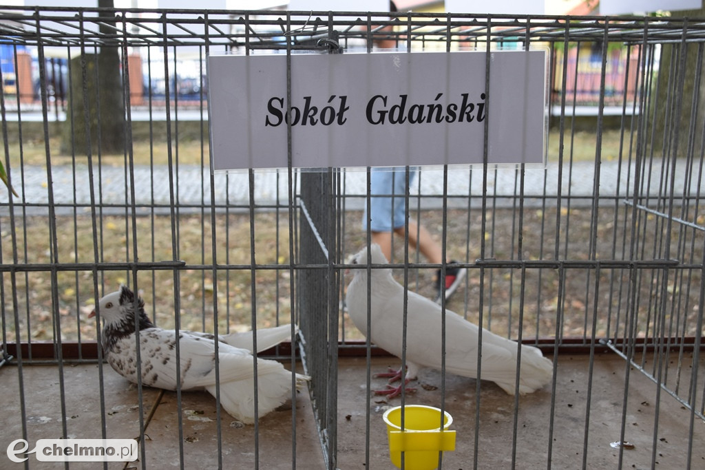 Dobra zabawa na Dożynkach Gminno-Parafialnych w Unisławiu