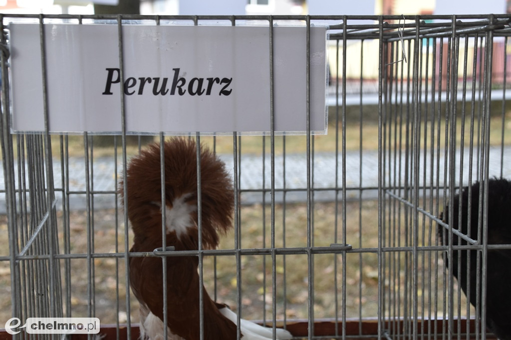 Dobra zabawa na Dożynkach Gminno-Parafialnych w Unisławiu