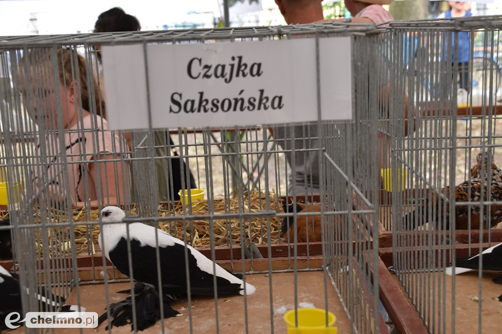 Dobra zabawa na Dożynkach Gminno-Parafialnych w Unisławiu