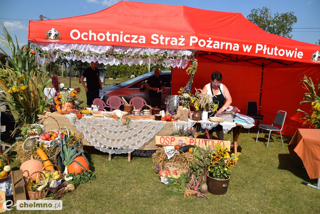 Piękne świętowanie dożynkowe w Kijewie Królewskim