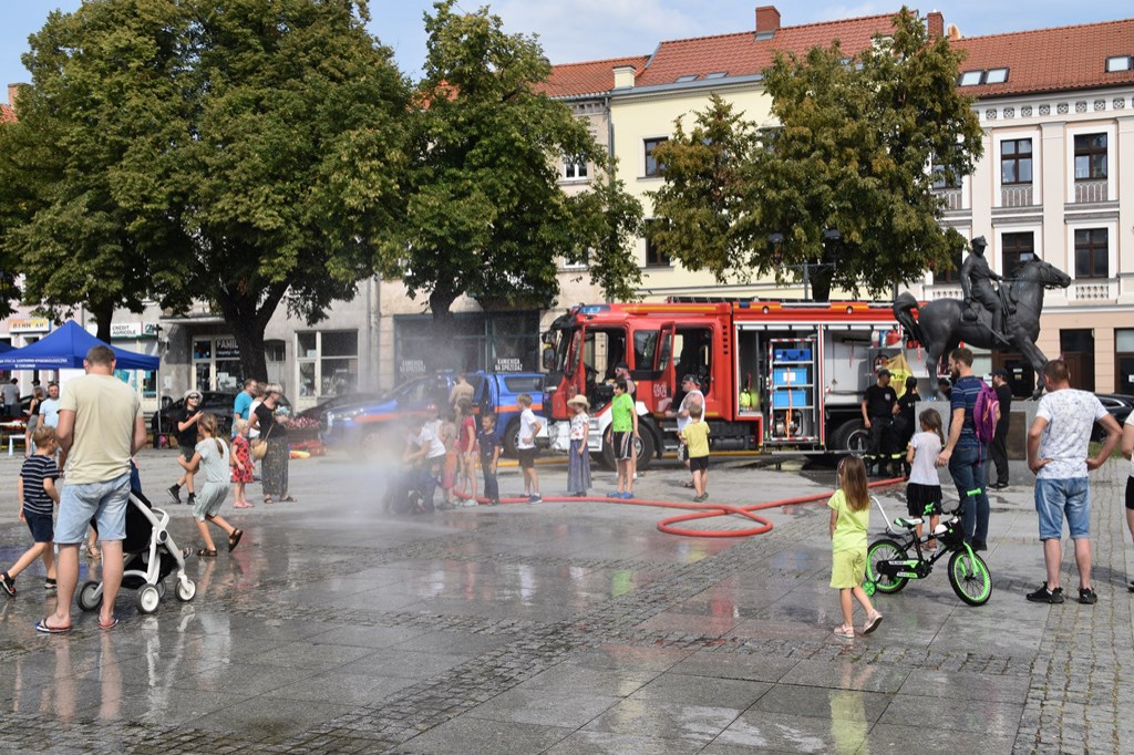 Akcja Bezpieczne i Ekologiczne Wakacje